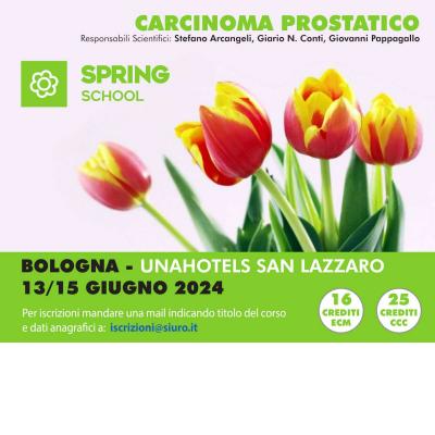 Spring School 2024 - Carcinoma prostatico
